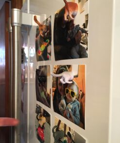 Kikkerland Magnetic Funny Cat Butt Refrigerator Decorative Magnets, Set of 6, Novelty Gift, Cat Lovers 43 71T73d2QLML