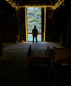 ER CHEN 165ft Led String Lights, 500 Led Fairy Starry Lights on 50M Silvery Copper Wire String Lights for Christmas (Warm White) Warm White 30 71T7KxsbyL