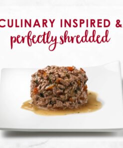 Purina Fancy Feast Wet Cat Food Medleys - (24) 3 oz. Cans Salmon Primavera in Sauce 3.00 Ounce (Pack of 24) 16 71T8 JAsPEL