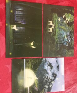 Glow In The Dark Postcards Set of 30 Woodland Animals Forest Deer Postcard Post Card Greeting Cards (Variety Pack) 46 71T82k sUEL