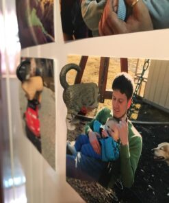 Kikkerland Magnetic Funny Cat Butt Refrigerator Decorative Magnets, Set of 6, Novelty Gift, Cat Lovers 44 71T9oNWsgeL