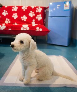 Petphabet 100 Pack Dog Pee Pads 23 by 24 Inches,Lavender Scented Dog Training Pads with Attractant 23 X 24 in 20 71T9oR9WwUL