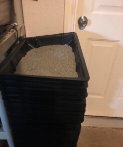 Kitty Lounge Disposable Litter Tray, Black, 50-Pack- Argee RG606/50, Black 7 71TBe9cTXoL