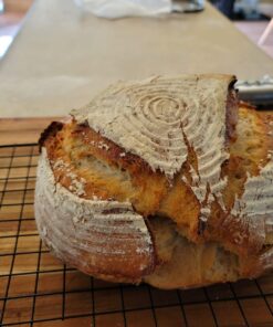 Jovial Einkorn 100% Organic Einkorn All Purpose Flour - Baking Flour, High Protein, Non-GMO, USDA Certified Organic, Unbleached Flour, Product of Italy, Organic All Purpose Flour - 32 Oz, 5 Pack 2 Pound (Pack of 5) 41 71TCf QhD6L