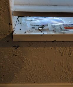 Alternative view of TERRO PreFilled Liquid Ant Killer II Baits, 3-Packs of 6 Baits Each