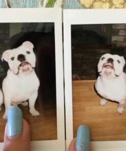 Fujifilm Instax Wide Instant Films for Fuji Instax Wide 210 200 100 300, Pack of 5 38 71TENtig2yL