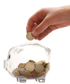 Windy City Novelties Small Educational Kids Clear Plastic Piggy Banks 24 71TEuT35uL