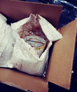 Leroux Leroux Instant Plain Chicory, Plain, 100 Grams 17 71TGmrE1pWL