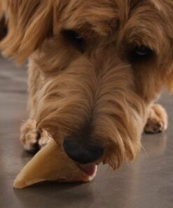 Pawstruck Natural Cow Hooves for Dogs - Made in The USA Long Lasting Beef Hoof Dental Treat Chews - No Artificial Preservatives - 10 Count - Packaging May Vary 35 71TLsG8R6nL