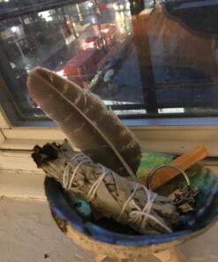 Smudge Kit - White Sage, Palo Santo, Abalone Shell, Smudging Feather for Healing, Purifying, Meditating & Incense (Essentials Plus) 38 71TLthoDc6L