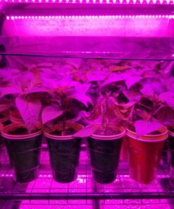 NAVAdeal 2 Pack Silver Highly Reflective Mylar Films, 82x 47Inch, Metallized Foil Covering Sheet, Garden Greenhouse Farming, Increase Plant Growth Save Power, Reduce Uneven Heat Environment Safe Pack of 2 38 71TMFXiSATL