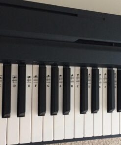 Piano and Keyboard Music Note Full Set Stickers for White and Black Keys; Transparent and Removable; Made in USA 53 71TOiM Q5zL