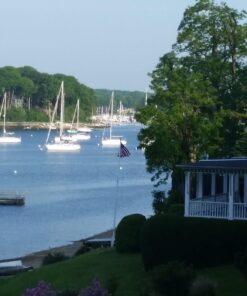 Wondercide - EcoTreat Ready-to-Use Outdoor Pest Control Spray with Natural Essential Oils - Mosquito, Ant, Insect Repellent, Treatment, and Killer - Plant-Based - Safe for Pets , Kids - 32 oz 22 71TOr8srL4L