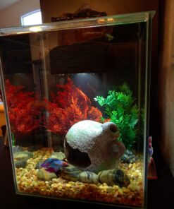 Fluval Chi II Series Aquarium Set, 5-Gallon - Aquarium Tank with Ambient LED Lighting, Flowing Water, and Elegant Design, White 5 gal 44 71TOspVBVL