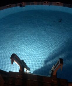 Intex Underwater LED Magnetic Above Ground Wall Pool Light with Magnetic Transmitter and 4 Different Color Options, Multicolor/White Wall Light 53 71TOycvSPYL