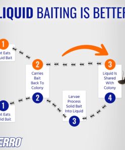 TERRO Liquid Ant Killer ll T200, 2 oz 34 71TPgTopr2L