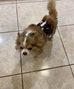 Fiskars 32" PowerGear2 Steel Blade Garden Bypass Lopper and Tree Trimmer - Sharp Precision-Ground Steel Blade Tree Cutter Blade for Branches up to 2" Diameter 32 in 32 71TPn7ksPpL