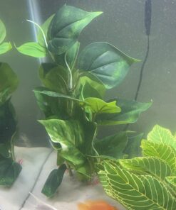 CNZ® Aquarium Fish Tank Green Lifelike Underwater Plastic Plant Aquatic Water Grass Decor (Large, 13-inch) Large, 13-inch 28 71TQbPUhOL