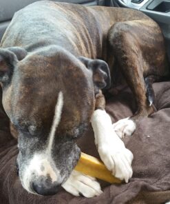 Himalayan Pet Supply Cheese Chews|Long Lasting, Stain Free, Protein Rich, Low Odor|100% Natural, Healthy & Safe|No Lactose, Gluten Or Grains|for Dogs 55 Lbs&Brown,X-Large(521015),5.3 Ounce (Pack of 1) 5.3 Ounce (Pack of 1) 44 71TVMUGWWFL 1