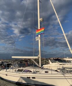 Anley EverStrong Series Rainbow Flag Gay Pride Flag 3x5 Ft Heavy Duty Nylon for LGBT Parade Month Pride Day LGBTQ Community - Sewn Stripes and 2 Rows of Lock Stitching and Brass Grommets Rainbow Premium Nylon 15 71TWe6Jld9L