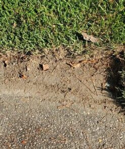 Greenworks 12 Amp Electric Corded Edger 27032 33 71TWynF9HAL