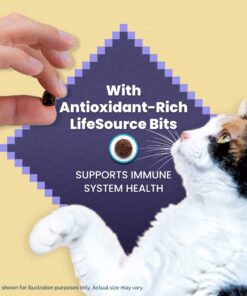 Blue Buffalo Cat Food, Natural Chicken Recipe, Wilderness High Protein, Adult Dry Cat Food, 12 lb bag 12 Pound (Pack of 1) 25 71TZVYz0d5L