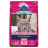 Blue Buffalo Cat Food, Natural Salmon Recipe, Wilderness High Protein, Adult Dry Cat Food, 5 lb bag 5 Pound (Pack of 1) 48 71TZzZxLjGL