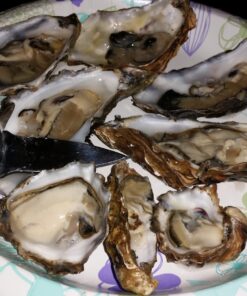 HiCoup Oyster Shucking Knife and Glove Kit - Clam and Oyster Knife Shucker Set with Stainless Steel Seafood Opener Tool, Wood Handle and Gloves 51 71TbnSTH8iL