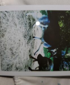 Fujifilm INSTAX Mini Instant Film Twin Pack (White) - International Version 20 Film Pack 27 71TdURs0cqL