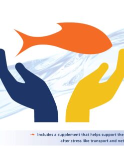 Aqueon Aquarium Fish Tank Betta Bowl Plus Water Conditioner, 4 Ounce 4 Ounces 15 71TdWGn2EML