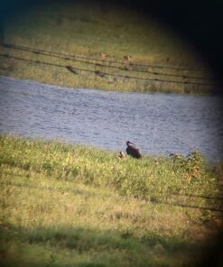 Bushnell H2O Waterproof/Fogproof Compact Roof Prism Binocular Black, 8x25mm 29 71TdbEAVdjL