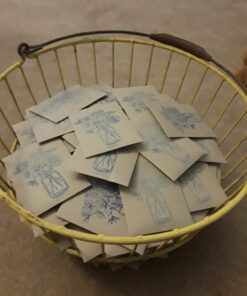 Set of 50 Blank Proterra Seed Envelopes W/ Self Sealing Adhesive (3.25" W by 4.50" H) 23 71Ted5dF3L