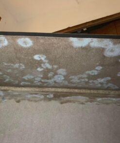 MOLD ARMOR Mold and Mildew Killer + Quick Stain Remover, 32 oz., Trigger Spray Bottle, Eliminates 99.9% of Household Bacteria and Viruses, Ideal Bathroom Mold and Mildew Remover 42 71TfyNKYvSL