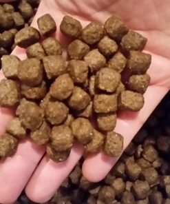 Rachael Ray Nutrish Limited Ingredient Lamb Meal & Brown Rice Recipe, Dry Dog Food, 14 Pound Bag (Packaging Design May Vary) Dry Food 14.00 Pound (Pack of 1) 35 71TjSyrH9xL