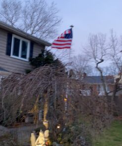 Annin Flagmakers American Flag All-Weather Nylon SolarGuard Nyl-Glo, 4 x 6 Feet (Model 2220) 4x6 ft 35 71Tl9HQ0NSL