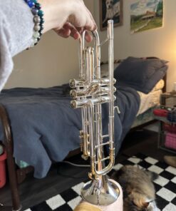 MusicNomad Silver Polish for Silver & Silver-Plated Instruments, 4 oz (MN701) 45 71Tm8NrnwiL