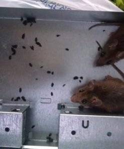 Victor M310S Tin Cat Multi-Catch Live Mouse Trap - Indoor and Outdoor Humane Catch and Release 1 Trap 35 71TmSaKJi1L