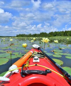 Nikon AF-P DX NIKKOR 10-20mm f/4.5-5.6G VR Lens Black Lens Only 56 71To7fldwdL