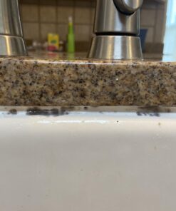 MOLD ARMOR Mold and Mildew Killer + Quick Stain Remover, 32 oz., Trigger Spray Bottle, Eliminates 99.9% of Household Bacteria and Viruses, Ideal Bathroom Mold and Mildew Remover 49 71TpHlRZgEL