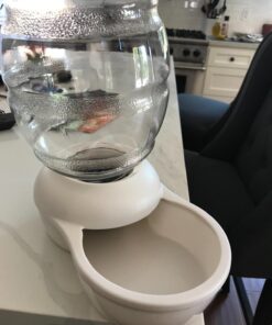 Petmate Replendish Automatic Gravity Waterer for Cats and Dogs, BPA-Free, No Batteries Required, Includes Charcoal Filter, 1 Gallon, Made in USA Silver 1 GAL 51 71TqZg qJRL