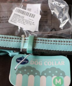 Blueberry Pet Soft & Safe 3M Reflective Neoprene Padded Adjustable Dog Collar - Baby Blue Pastel Color, Medium, Neck 14.5"-20" 47 71Ttg7UspbL 1