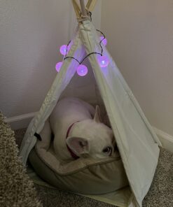 little dove Pet Teepee Dog & Puppy Cat Bed, Portable & Washable Pet Tents, House for Pets Beige Color 24 Inch no Cushion 29 71TuYID6pL