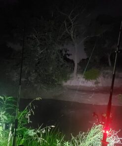 Botepon Battery Operated Kayak Navigation Lights, Marine Led Boat Lights, Boat Bow Lights and Stern Lights for Pontoon Boat Bass Boat Jon Boat Dinghy Kayak Yacht Jet Ski 1Pcs Red, 1Pcs Green 50 71Twu0g5ViL