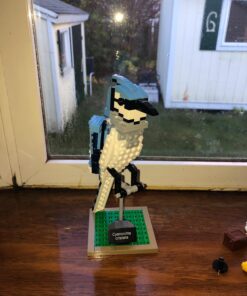 LEGO Ideas 21301 Birds Model Kit 33 71TyHgpO76L