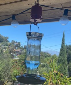 Perky-Pet 245L Ant Guard for Hummingbird & Oriole Feeders - Protects Nectar From Ants, Red, Pack of 1 31 71TzQmBR5 L 4