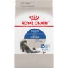 Royal Canin Indoor Adult Dry Cat Food, 7 lb bag 7 Pound (Pack of 1)