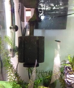 uxcell XINYOU XY-380 Aquarium Fish Tank Biochemical Sponge Filter, 4-1/2-Inch (1-Pack) 1-pack 33 71U2PIG2xgL