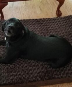 Furhaven Orthopedic Dog Bed for Large Dogs w/ Removable Washable Cover, For Dogs Up to 95 lbs - Ultra Plush Faux Fur & Suede Mattress - Chocolate, Jumbo/XL Ultra Plush Curly Faux Fur (Chocolate) 40.0"L x 32.0"W x 4.0"Th Orthopedic Foam 49 71U3XMRiMNL 1