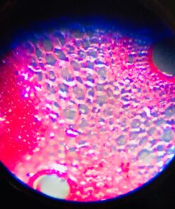 Learning Resources Prepared Slides Combo Set, 48 Specimens Standard Packaging 22 71U8ytVAdjL