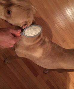 Professional Double Sided Pin & Bristle Brush for Dogs & Cats by GoPets Grooming Comb Cleans Pets Shedding & Dirt for Short Medium or Long Hair 59 71U9sLUcrfL